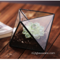 Handgemaakte hoge kwaliteit geometrische terrarium glazen container